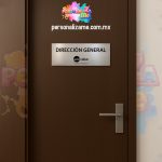Placa 02