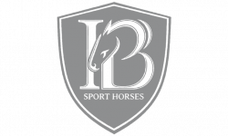 IB