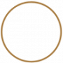 icon_texture_gold01